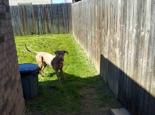 Cleanups by Chris Reist for Melissa T. in Fort Worth, TX
