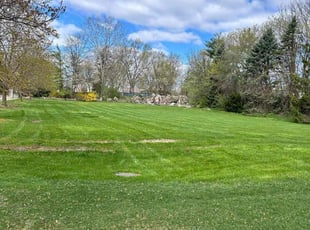 Mauricio C.'s Lawn Service service result