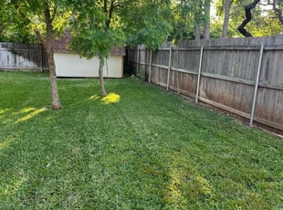 David R.'s Grass Cutting service result