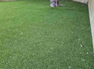 Angela C.'s Lawn Maintenance service result