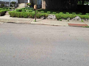 Bush Trimming by Leroy Green II for Nate S. in Columbus, OH