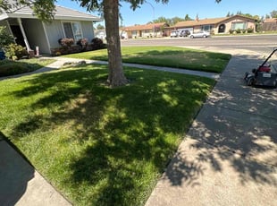 Bush Trimming by Arturo Aguirre for Shea C. in Turlock, CA