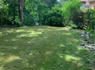 Weeding by Michael Skoncey for Rhonda W. in Pittsburgh, PA