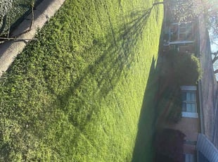Julia M.'s Lawn Service service result