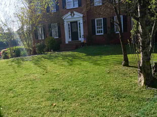 Janice S.'s Lawn Service service result