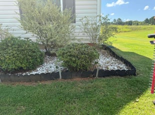 Bush Trimming by Brandon Lawson for Badal R. in Granite Quarry, NC