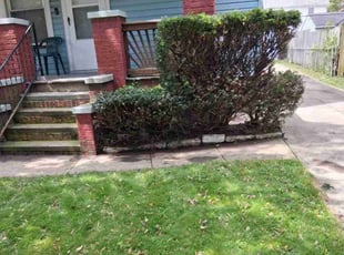 Bush Trimming by Juan Arzuaga for Chris G. in Cleveland, OH
