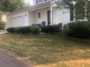 Bush Trimming by Derek Heidenreich for Alyson I. in Madison, WI