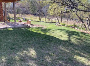 Leaf Removal by Todd Barns for Jeffery F. in Colorado Springs, CO