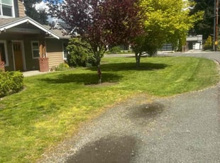 Lizbeth P.'s Lawn Mowing Service service result