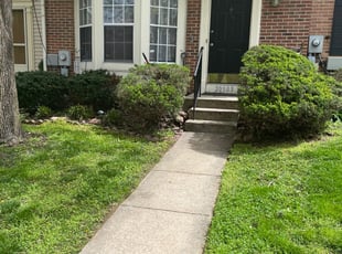 Bush Trimming by Ferdy Cardona for Karen M. in Germantown, MD
