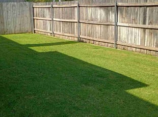 Zainab K.'s Lawn Mowing service result