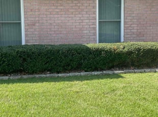 David S.'s Lawn Mowing service result