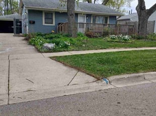 Alicia D.'s Lawn Mowing Service service result