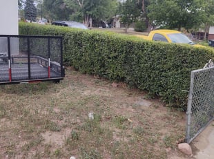 Bush Trimming by Brandon Berry for Garrett J. in Colorado Springs, CO