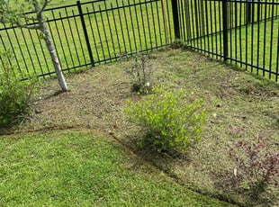 Weeding by Zach Tyler for Justin F. in Tallahassee, FL