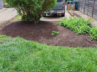 Mulching by Jose Paz for Jason E. in Washington, D.C., DC