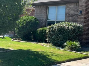 Bush Trimming by Manuel Gonzalez for Zach m. in Burleson, TX