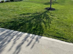 Ken W.'s Lawn Mowing service result