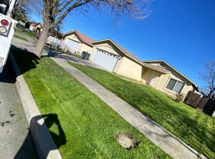 Melanie P.'s Lawn Mowing Service service result