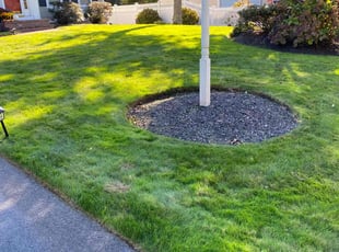 Lauren D.'s Lawn Service service result