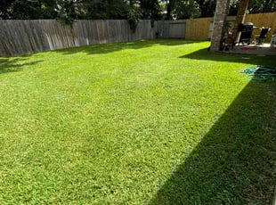 Edward S.'s Grass Cutting service result