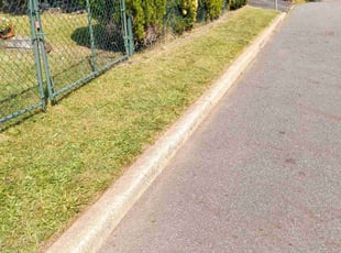 Melissa G.'s Yard Cutting service result
