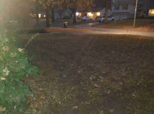 Leaf Removal by James Buchanan for Mark J. in Mission, KS