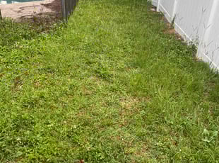 Cleanups by Mila Boza for Ann Marie L. in Orlando, FL