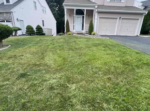 Aeration by Julian Carrero for Merlyn A. in Newington, CT