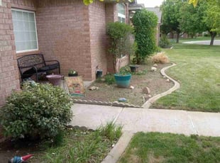 Bush Trimming by stacy craven for Regan P. in Amarillo, TX
