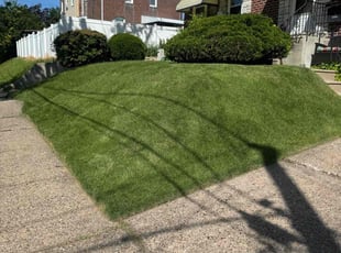 Bernard B.'s Lawn Mowing service result