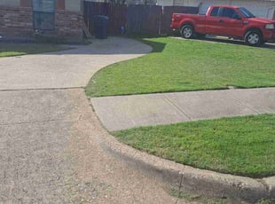 Anna L.'s Yard Cutting service result