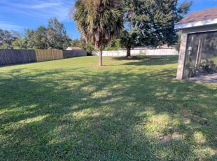 Lynette P.'s Lawn Care service result