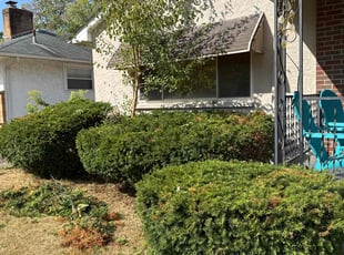Bush Trimming by Dave Ehrenberg for Brenda J. in Columbus, OH