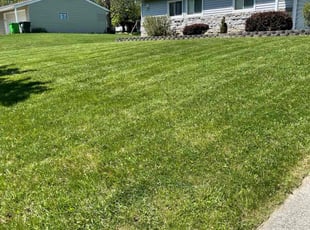 Carl B.'s Lawn Maintenance service result