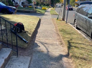 Maria S.'s Lawn Service service result