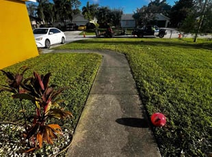 Janet P.'s Grass Cutting service result
