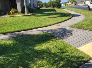 Dawn S.'s Yard Cutting service result