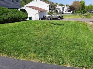 Terri D.'s Lawn Mowing service result