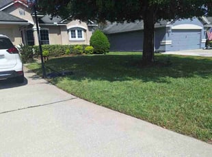 Sheila W.'s Lawn Care service result