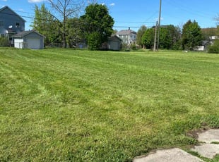 Michael P.'s Lawn Mowing Service service result