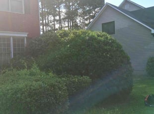 Bush Trimming by Andrew Jones for Ajay M. in Powder Springs, GA