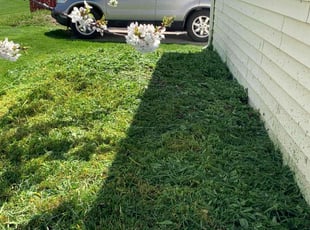 James W.'s Grass Cutting service result
