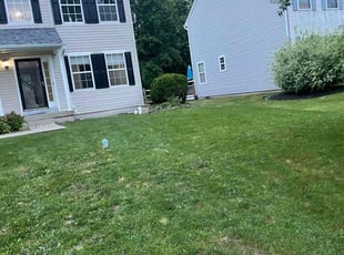 Weeding by Seth Clouse for Purity M. in Quakertown, PA
