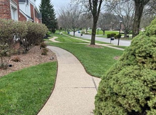 Sally M.'s Lawn Service service result