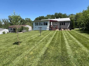Anna F.'s Lawn Mowing service result