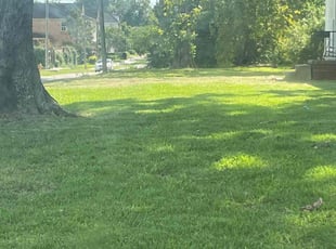 Alex H.'s Yard Cutting service result
