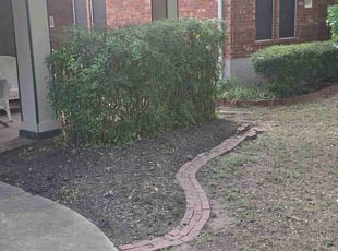 Bush Trimming by Joshua Cabiya for Martin B. in Austin, TX