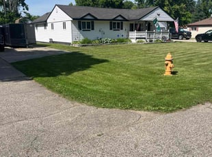 Norraine L.'s Lawn Care service result